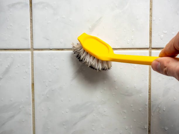 Best Same-Day Mold Removal  in Fayetteville, PA