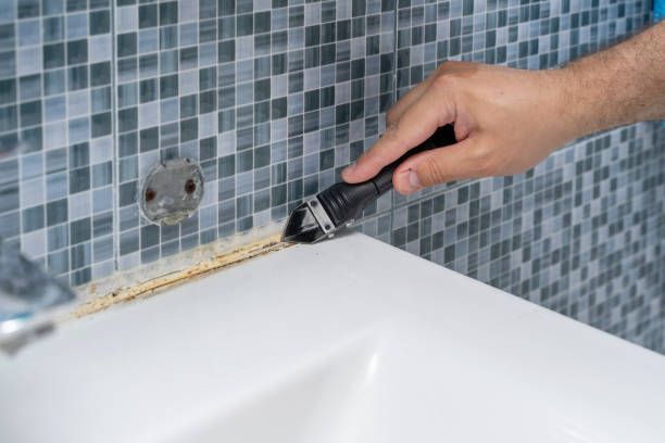 Best Professional Mold Removal  in Fayetteville, PA