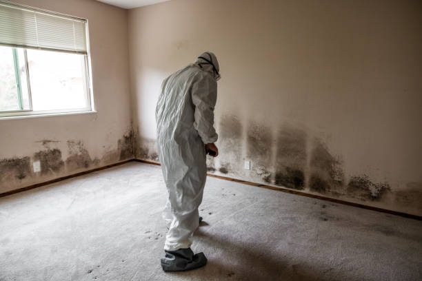 Fayetteville, PA Mold Removal Company